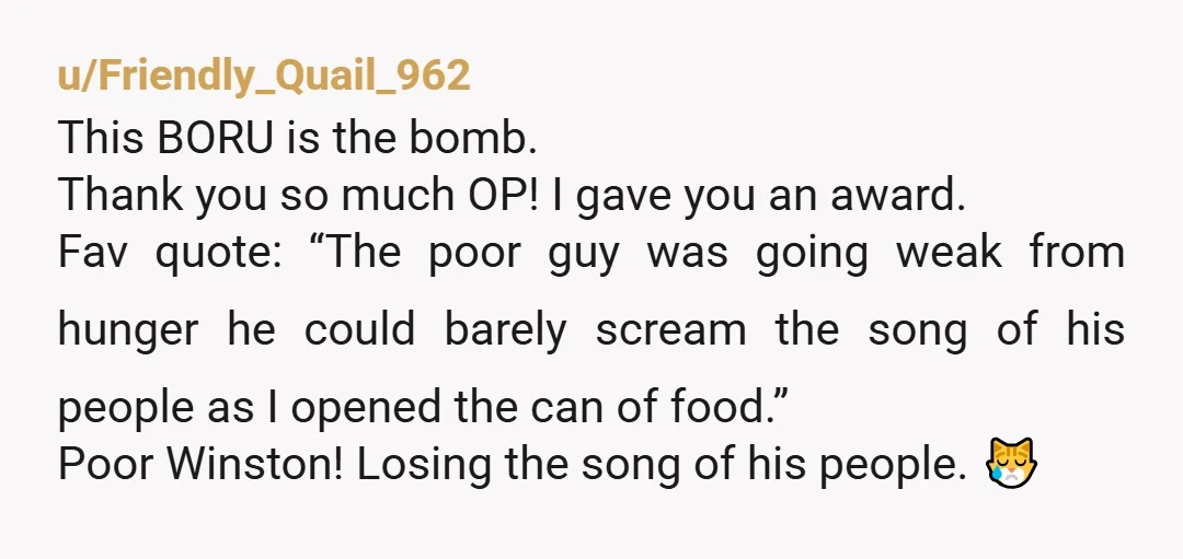 u/Playful_Trouble2102 Hey Oop here, I'm so glad my parody saga made so many people laugh.  I'm sure you will all be pleased to know Winston was handed back to his...