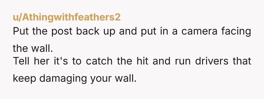 u/Athingwithfeathers2
Put the post back up and put in a camera facing the wall.
Tell her it's to catch the hit and run drivers that keep damaging your wall.