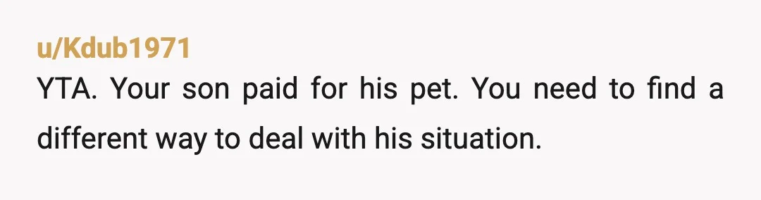u/xMissingMusic Absolutely YTA. My parents threatened to give my dog up for adoption as a kid whenever I messed up. It's absolutely a horrible feeling knowing that the people who...
