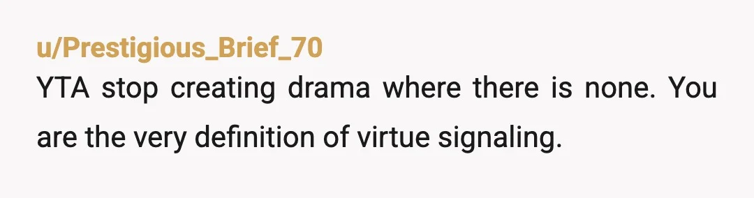 u/Prestigious_Brief_70
YTA stop creating drama where there is none. You are the very definition of virtue signaling. 