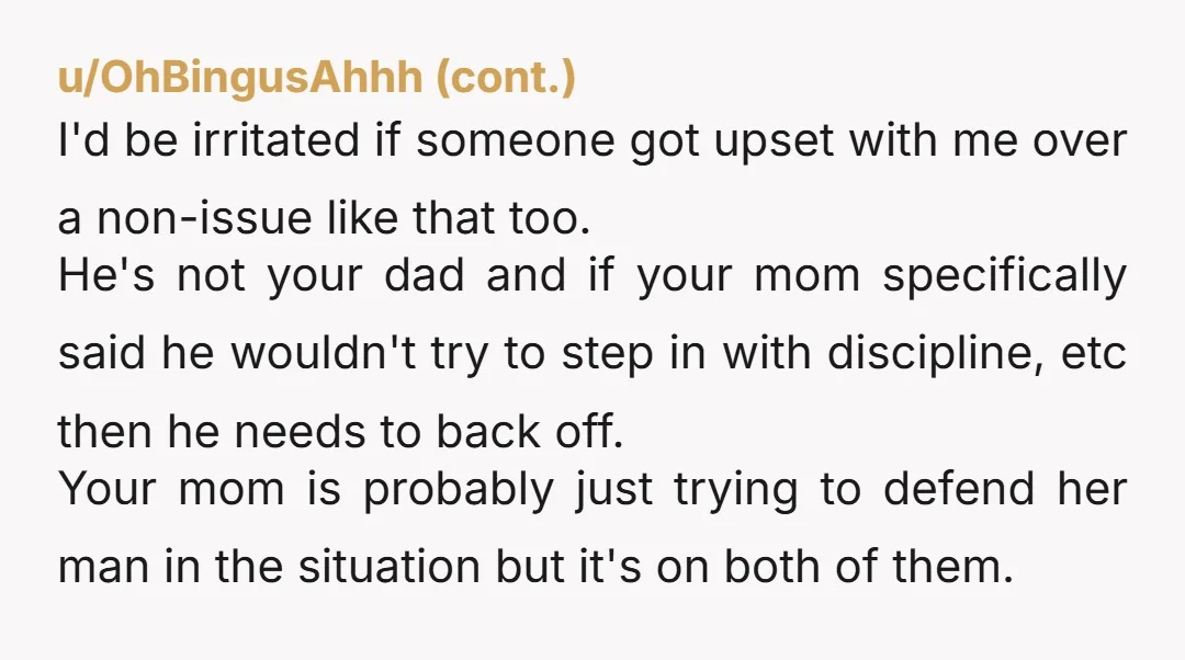 u/SophiaIsabella4 BF has been patiently waiting for this opportunity. For mom to be a little irritated, fan the flames, stir the pot, so he could get away with being verbally...