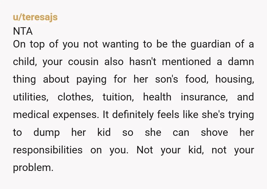 u/teresajs NTA On top of you not wanting to be the guardian of a child, your cousin also hasn't mentioned a damn thing about paying for her son's food, housing,...
