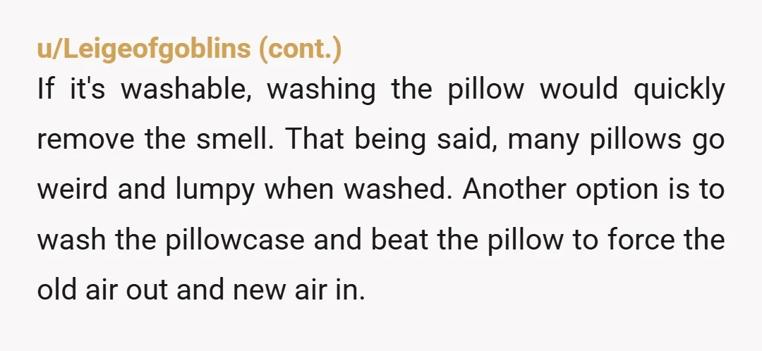 u/babypho3nix Immediately makes me think of the scene from Knocked Up where all the guys got pink eye because they kept farting on each other's pillows. NTA, he sound childish...