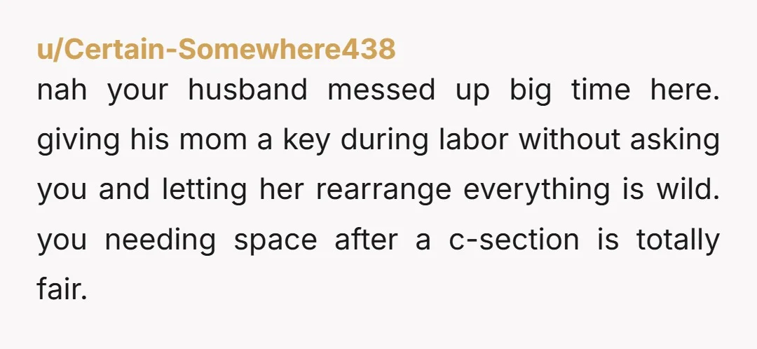 u/OkConsideration8964 YANW. I am so mad for you right now. I had a C-section with my daughter. If my husband let anyone in my house who then did what his...