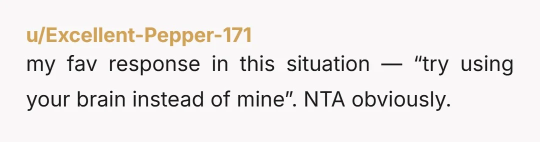 u/Excellent-Pepper-171 my fav response in this situation — “try using your brain instead of mine”. NTA obviously.