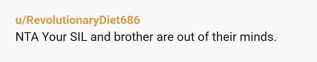 u/Go-Mellistic NTA. This is some next- level manipulation on both their parts. You glossed over the fact that SIL snooped through your belongings to find out the name you had...