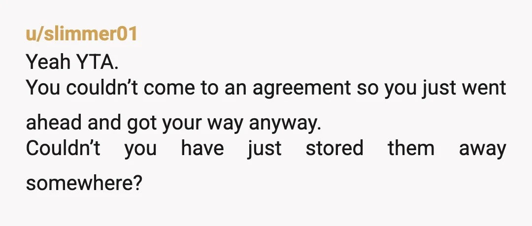 u/slimmer01
Yeah YTA.
You couldn’t come to an agreement so you just went ahead and got your way anyway.
Couldn’t you have just stored them away somewhere?