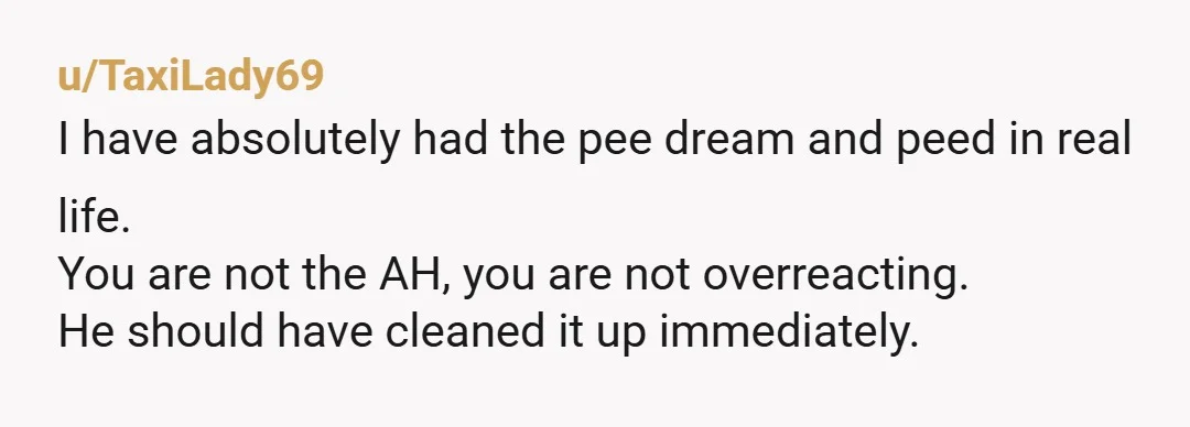 u/Adventurous_Cook9083 I have dogs, and occasionally one of them will barf or pee on the bed during the night. I don't care how tired I am or what time it...