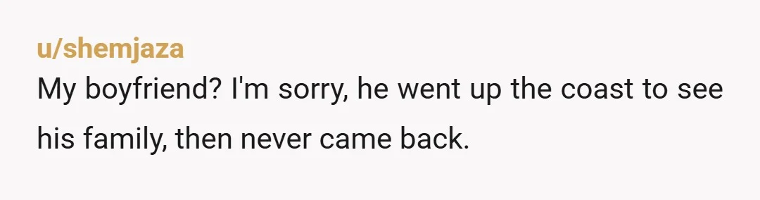 u/shemjaza
My boyfriend? I'm sorry,  he went up the coast to see his family, then never came back.