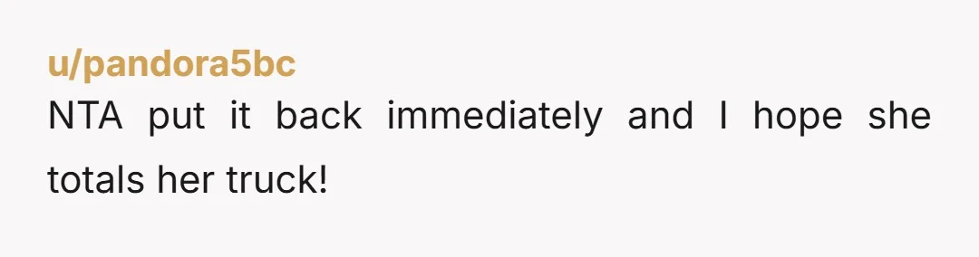 u/pandora5bc
NTA put it back immediately and I hope she totals her truck!