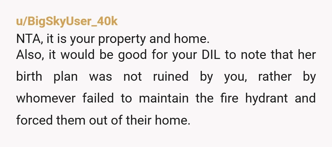 u/BigSkyUser_40k NTA, it is your property and home. Also, it would be good for your DIL to note that her birth plan was not ruined by you, rather by whomever...