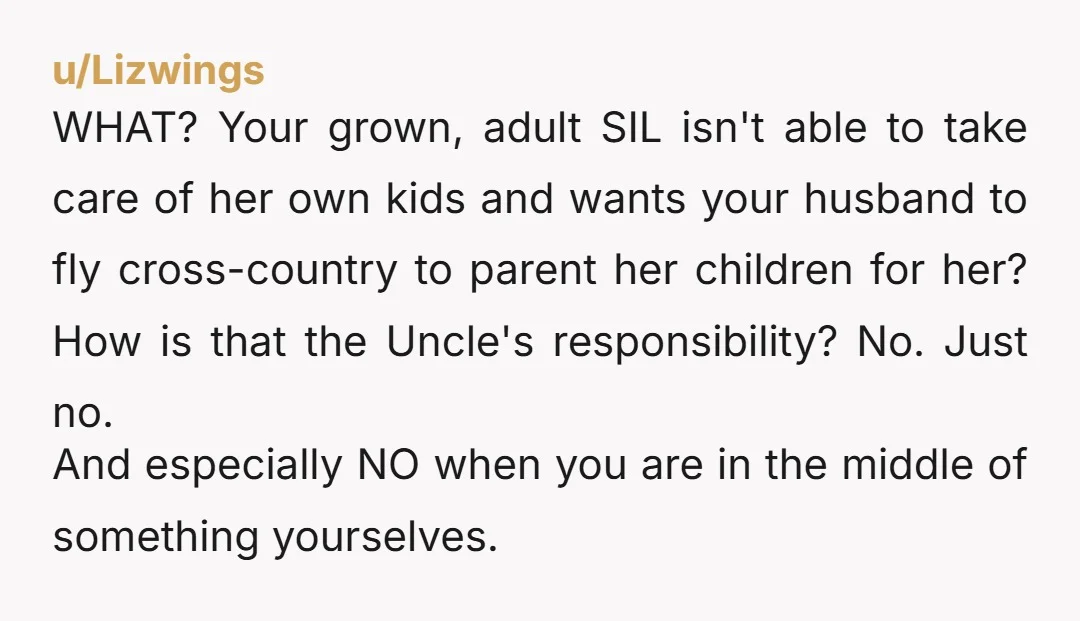 u/lav_earlgrey where does your husband stand on this issue? why is this even your concern? husband should have shut down this ask immediately. is he considering his sister’s suggestion? is...