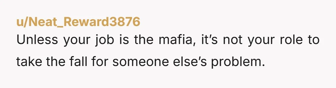 u/Neat_Reward3876 Unless your job is the mafia, it’s not your role to take the fall for someone else’s problem.
