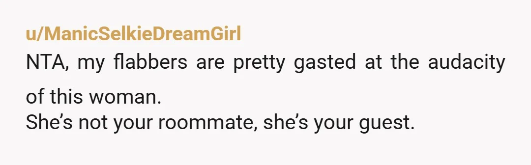 u/ManicSelkieDreamGirl NTA, my flabbers are pretty gasted at the audacity of this woman. She’s not your roommate, she’s your guest. Genuinely baffled at how someone in her position thinks she...