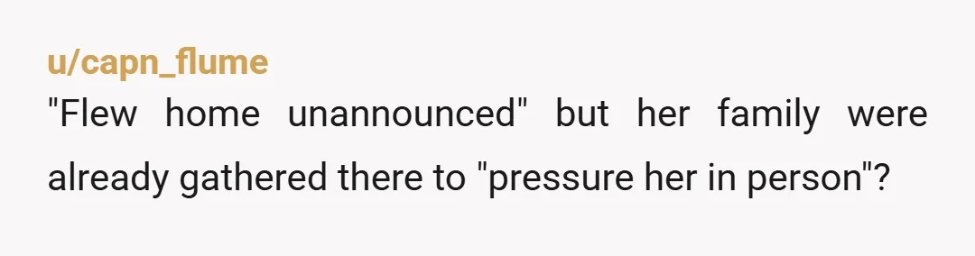 u/capn_flume "Flew home unannounced" but her family were already gathered there to "pressure her in person"?