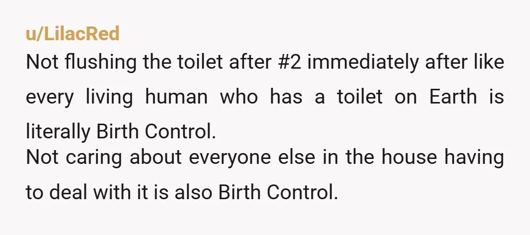 u/LilacRed Not flushing the toilet after #2 immediately after like every living human who has a toilet on Earth is literally Birth Control. Not caring about everyone else in the...