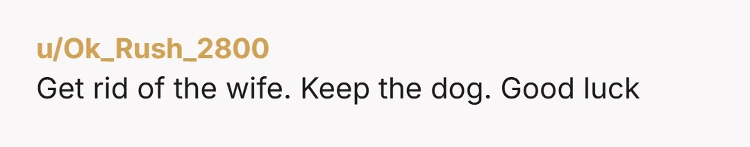 u/Spiritual_Emu_1381 Ntah. So horrible to rehome a dog you have had since a puppy. It sounds to me like she just now feels safe to act on her feelings of...