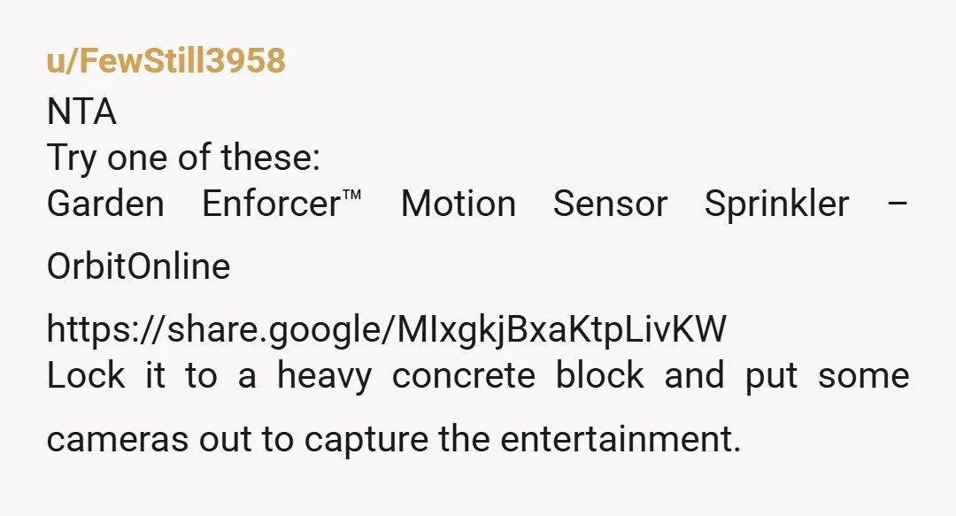 u/imnvs_runvs NTA But I do recommend that as soon as you can afford it, build a fence. I know you said you can't now, but that is the best step...