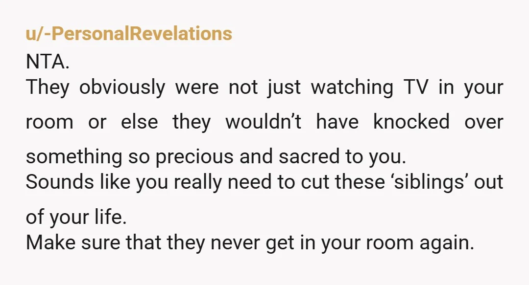 u/wosindeurehande How can you possibly be the AH in this situation? I can’t even imagine coming home to this and finding your mothers ashes scattered around the carpet. Even it...