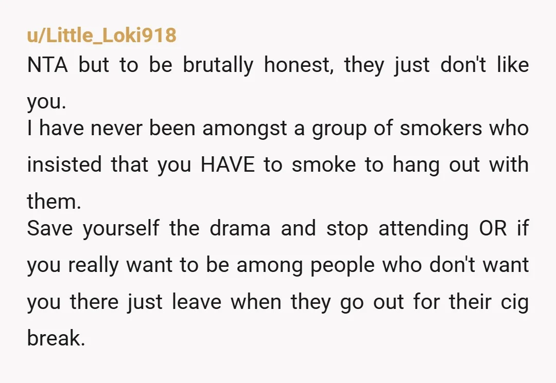 u/Little_Loki918 NTA but to be brutally honest, they just don't like you. I have never been amongst a group of smokers who insisted that you HAVE to smoke to hang...