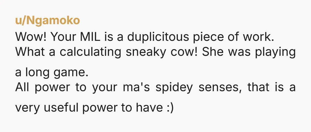 u/Ngamoko Wow! Your MIL is a duplicitous piece of work. What a calculating sneaky cow! She was playing a long game. All power to your ma's spidey senses, that is...