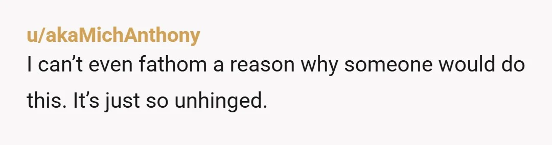 u/akaMichAnthony
I can’t even fathom a reason why someone would do this.  It’s just so unhinged.