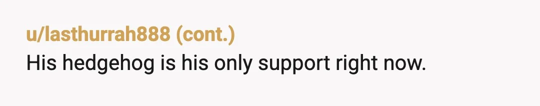u/ReadMeDrMemory YTA. Problem: child is not putting effort into schooling. Solution: send his pet back to its breeder. Really? You think being cruel to your child and his pet will...