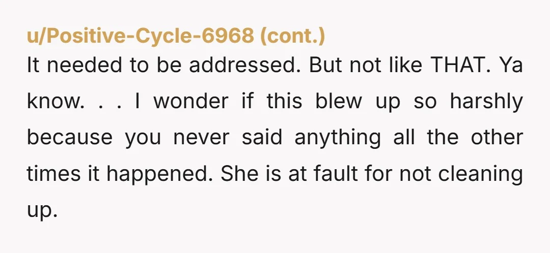 u/Striking_Sky6900
Wow. I would never expect a guest to clean my toilet.  Streaking happens.  It’s natural.
