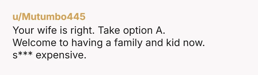 u/Various-Maybe A is clearly better. First, your job is to provide for your family. I don’t think that means that in all situations you have to maximize your income, but...