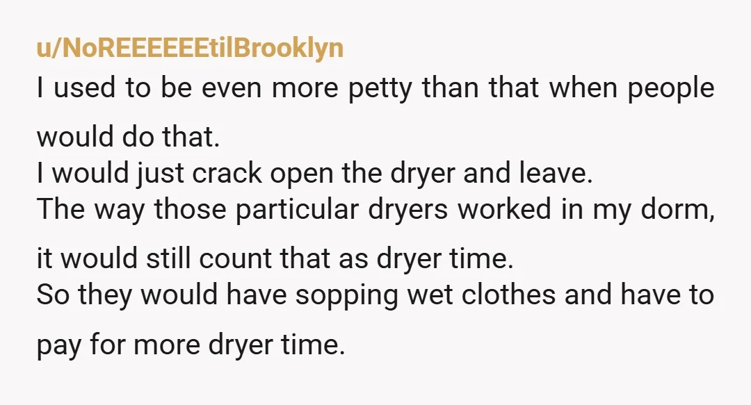 u/NoREEEEEEtilBrooklyn I used to be even more petty than that when people would do that. I would just crack open the dryer and leave. The way those particular dryers worked...