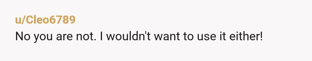 u/remindmetoblock Nta for being angry, but i do feel the "never again" is a bit of an overreaction. Put it in the washing machine and youll never smell it again