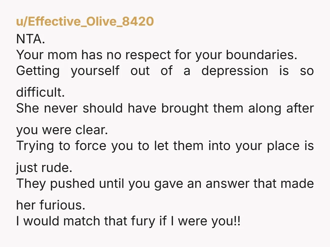 u/eyore5775 NTA - your mom broke the rules first. You asked her to come alone but then brought everyone. You possibly need to reach out to your mom and ask...
