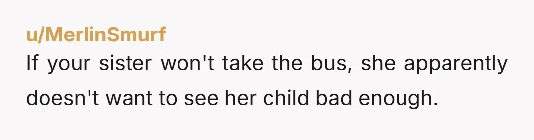u/MerlinSmurf If your sister won't take the bus, she apparently doesn't want to see her child bad enough.