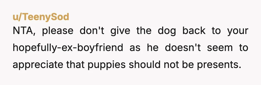 u/Ok-Client-9272 NTA, he is. Everyone knows not to give pets as gifts, but a belgian malinois puppy is an especially s*** idea. First of all, Todd is irreplaceable. My condolences...