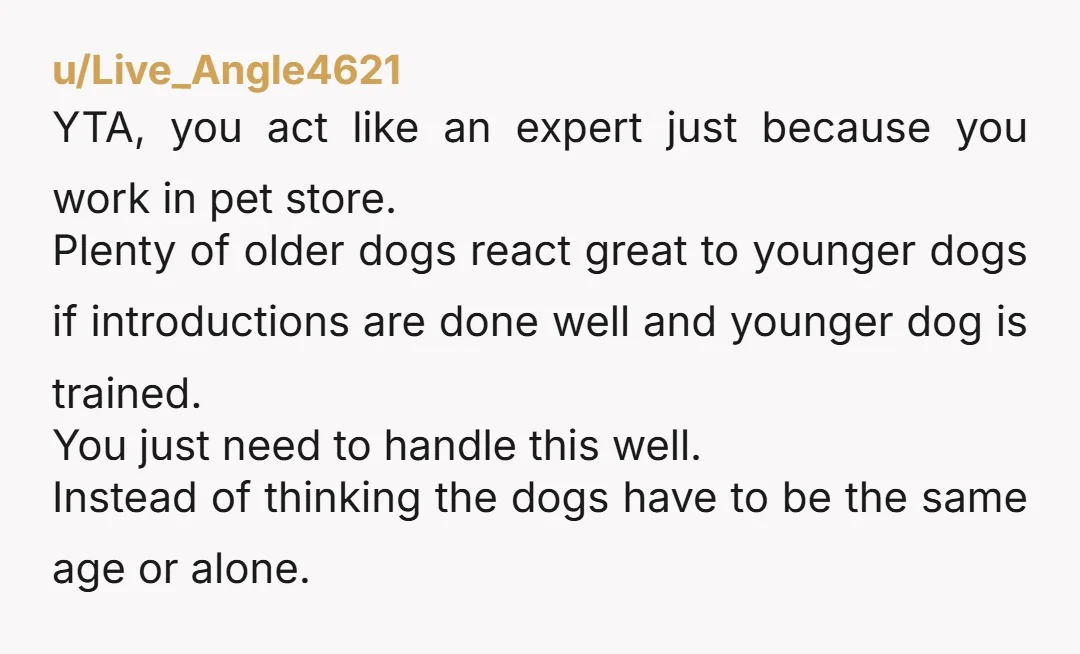 u/fangirl_queen_69 NTA getting a puppy while having an older dog just leaves you with a depressed puppy when the older dog dies if they get too attached. But also you...