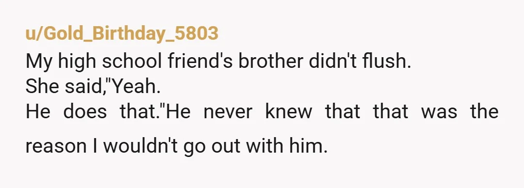 u/Gold_Birthday_5803 My high school friend's brother didn't flush. She said,"Yeah. He does that."He never knew that that was the reason I wouldn't go out with him.