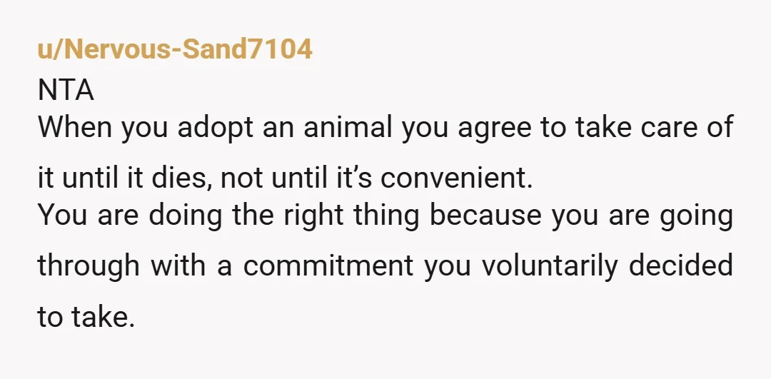 u/MaineSky NTA, but leaning heavily toward NAH. There should never be 'crying and yelling' in these kinds of conversations, point blank- which is the only reason I said NTA and...