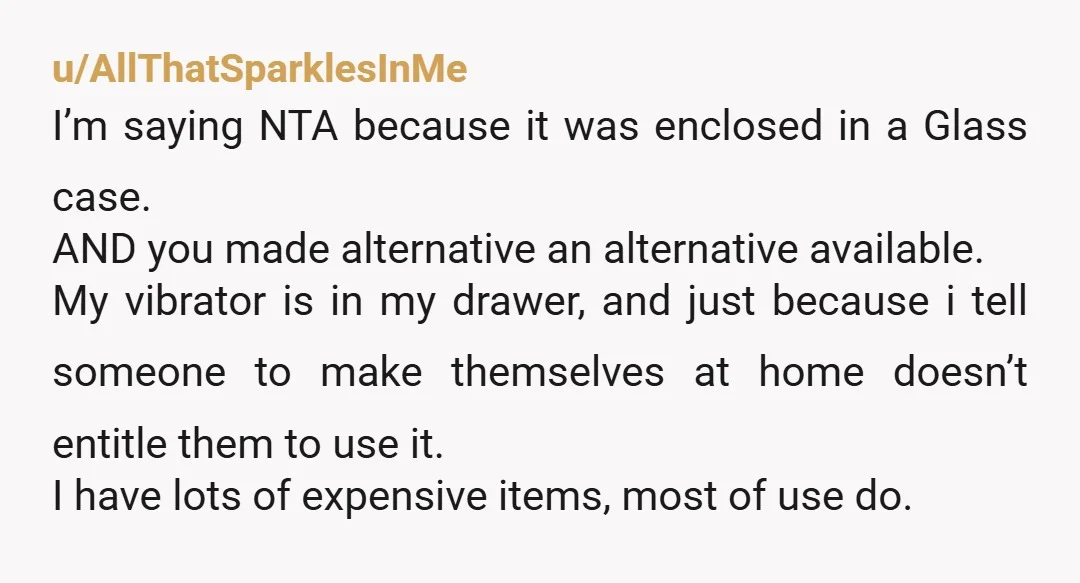 u/AllThatSparklesInMe I’m saying NTA because it was enclosed in a Glass case. AND you made alternative an alternative available. My vibrator is in my drawer, and just because i tell...
