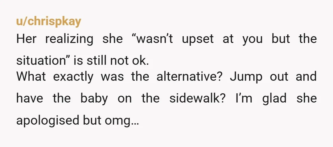 u/chrispkay Her realizing she “wasn’t upset at you but the situation” is still not ok. What exactly was the alternative? Jump out and have the baby on the sidewalk? I’m...