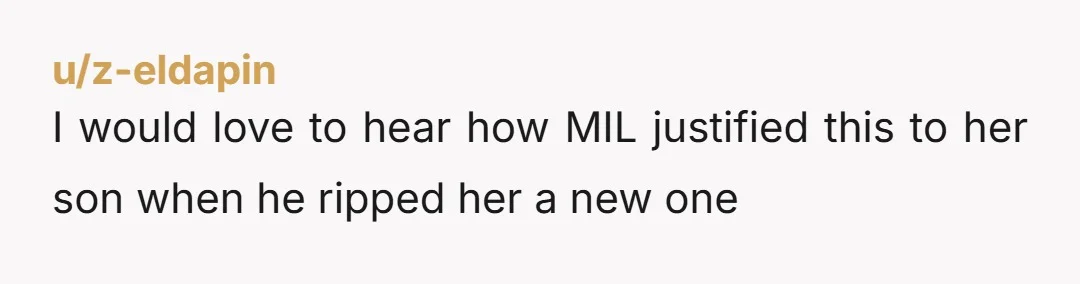 u/z-eldapin
I would love to hear how MIL justified this to her son when he ripped her a new one