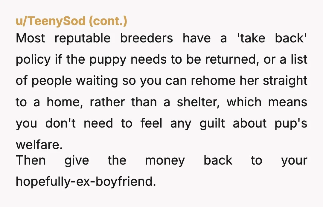 u/AlzheimerTriviaNight NTA. but I would honestly let your boyfriend know that you can’t keep the dog and if he got it from a breeder, see if the breeder will take...