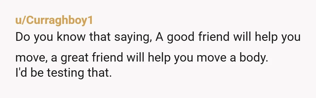 u/Curraghboy1
Do you know that saying, A good friend will help you move, a great friend will help you move a body.
I'd be testing that.