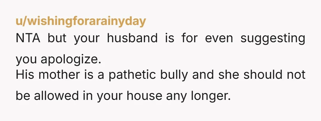 u/Lexa19_HK NTA You have nothing to apologize for. MIL consistently crosses boundaries and insults you. She deserves a lot worse than what you said. Tell her and your husband she...