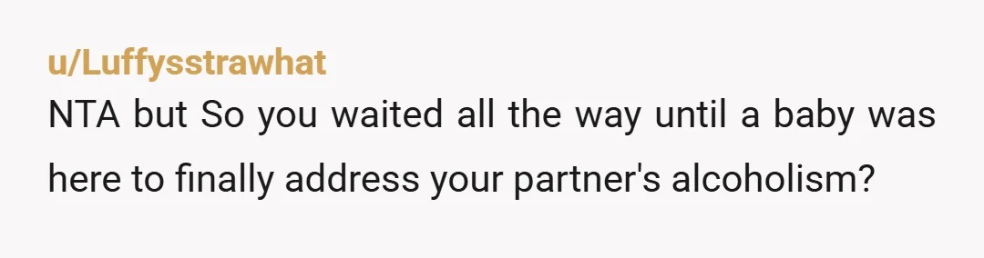 u/Luffysstrawhat
NTA but So you waited all the way until a baby was here to finally address your partner's alcoholism?