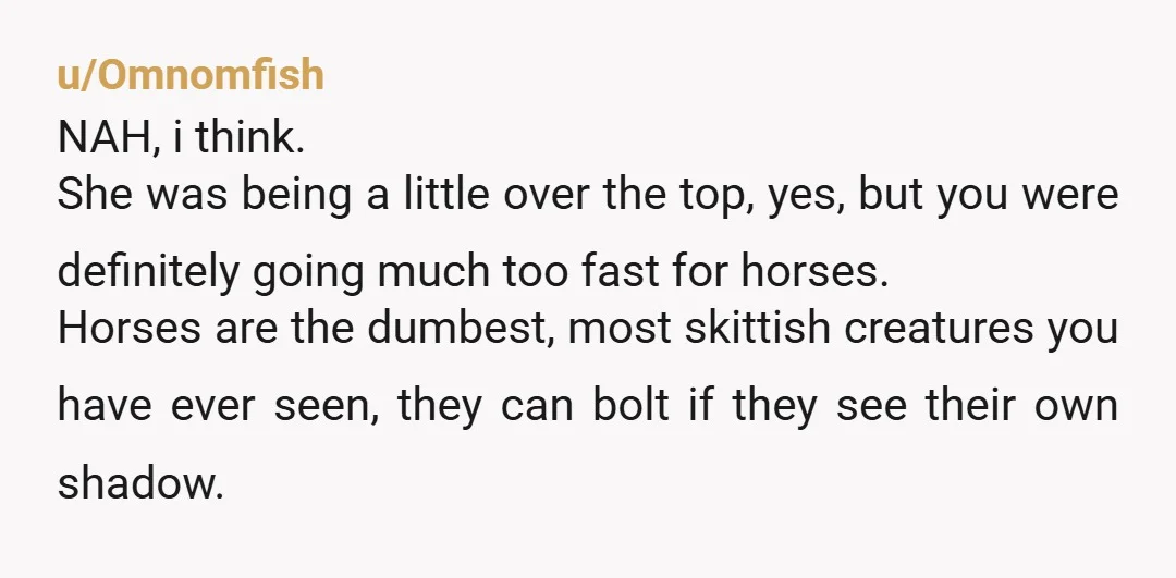 u/queenofthequeens Why would you think going 30mph is anywhere near slow enough to pass multiple people on horses?