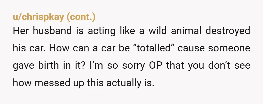 u/HourAcanthisitta7970 You are still being way too forgiving of this guy. You paid to have the car detailed. You certainly didn't do it on purpose. Him not wanting to drive...