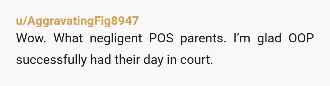 u/AggravatingFig8947
Wow. What negligent POS parents. I’m glad OOP successfully had their day in court.