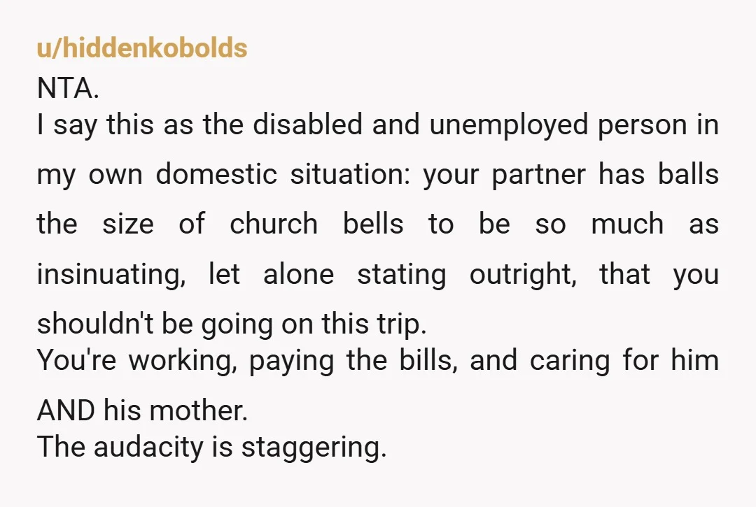 u/hiddenkobolds NTA. I say this as the disabled and unemployed person in my own domestic situation: your partner has balls the size of church bells to be so much as...