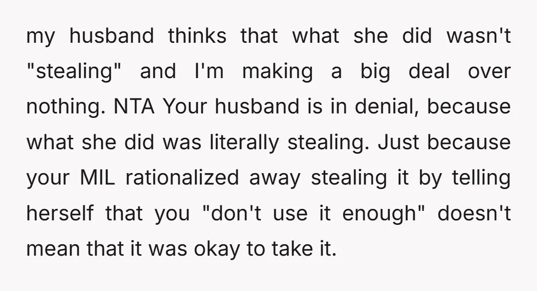 u/BigRedJeeper
NTA- it absolutely WAS stealing!! She didn’t pay for it, it wasn’t hers to take.
Your husband needs to grow an f-ing spine!!