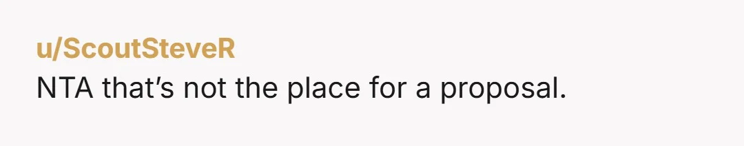 u/Automatic_Dragon YTA. Sure, the guy proposing could’ve been calmer and asked if he could get in there because he wanted to propose, but I’m gonna give him some grace and...
